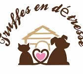 Truffes en d�cembre